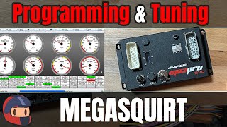 Program and Tune a MegaSquirt or MicroSquirt Standalone ECU on Your Motorcycle or Car [upl. by Edholm]