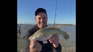 Land based Murray Cod fishing at Taylors Lake with spinnerbaits [upl. by Gettings]