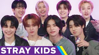 Stray Kids Finds Out Which SKZ Members They Actually Are [upl. by Acinok]