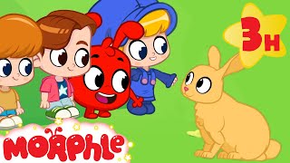 Morphles School Trip to the Forest  Morphles Family  My Magic Pet Morphle  Kids Cartoons [upl. by Maribel]