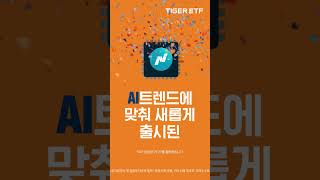 반도체 투자의 새로운 패러다임 SOX지수에 AI를 더하다 tigeretf AI투자 AI반도체주 엔비디아 tsmc ai빅테크 [upl. by Asilram]