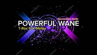 POWERFUL WANE  TRox featKMetex 2024 Official Audio [upl. by Nive521]