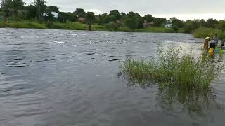 kalungwishi river from luwingu passing through kawambwa to mununga lake mweru [upl. by Elias58]