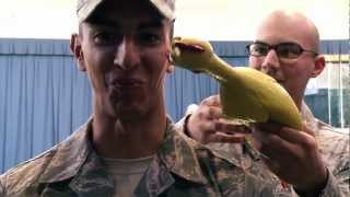 USAF Honor Guard  Rubber Chicken Bearing Test [upl. by Deirdra845]