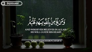 ساعتين متواصله🕛🎧  تلاوه مؤثره بصوت القارئ عبد الرحمن المسعد 💚🎙️  ارح سمعك وعقلك😌💚 [upl. by Yrrot]