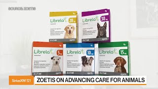 Zoetis CFO On The Pet Care Industry [upl. by Greenebaum]