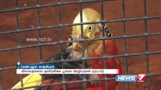 Vandalur Zoo animals suffer in summer heat  News7 Tamil [upl. by Urquhart]