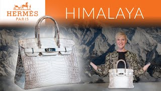 All About Hermès Himalaya Birkin  A Closer Look at the Hermès Holy Grail [upl. by Aneleve]