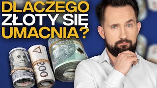 Dlaczego ZŁOTY się UMACNIA BizON [upl. by Arabella]