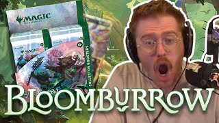 THIS IS THE BEST SET IN YEARS  Bloomburrow MTG Collector Box Haul [upl. by Pember]