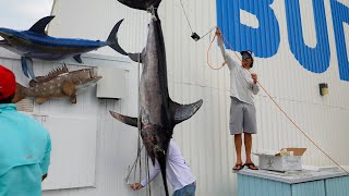 263 LB SWORDFISH Awesome underwater lights Mid October Fishing Report [upl. by Eugeniusz742]