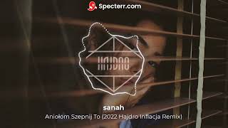 sanah  Aniołom Szepnij To 2022 Hajdro Inflacja Remix [upl. by Yttak]