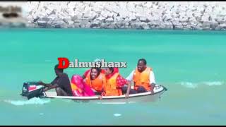 Muuqaal Kooban Dekada Bosaso Port Dalmushaax [upl. by Caritta]