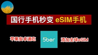 📱让不支持eSIM的手机秒变eSIM手机🥳国行手机也可以添加eSIM套餐、添加任何国家运营商eSIM卡⭕️5Ber eSIM 使用教程：境外eSIM卡保号、旅游eSIM流量从未如此简单｜数字牧民LC [upl. by Otha585]