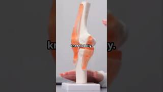 What is an ACL Injury Explained football injury shortsfeed facts viralvideo ronaldo messi [upl. by Aikimat]