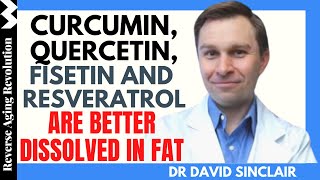 Curcumin Quercetin Fisetin amp Resveratrol Are Better Dissolved In Fat  Dr David Sinclair Int Clips [upl. by Dutchman]