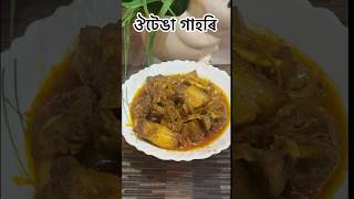 Pork with elephant apple  outenga gahori assamesecuisinesdeliciousrecipeporkrecipefoodblogging [upl. by Narret]