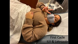 Fertility Journey EP 2  1st IUI Cycle amp Letrozole How It Went [upl. by Ullyot756]