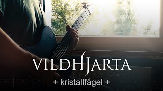 Vildhjarta  kristallfågel  guitar cover w\tabs [upl. by Omar]