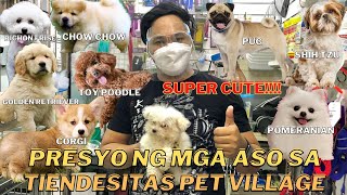 LATEST PET PRICE LIST IN TIENDESITAS PET VILLAGE 2021 SUPER CUTE LAHAT MUST WATCH [upl. by Ideih]