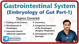 Embryology of Gastrointestinal system  Development of Foregut Part  1 [upl. by Llerdnek513]