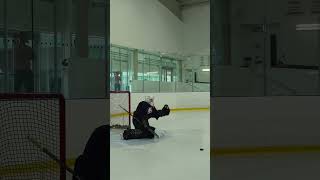 Visualization is key for elite goaltenders goaliecoaches goalietraining goaliesaves hockey [upl. by Aicilif310]