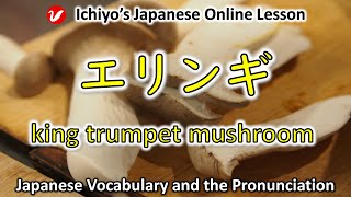 エリンギ eringi  king trumpet mushroom  Japanese Vocabulary and the Pronunciation [upl. by Ahsocin911]