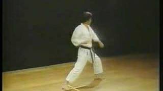 Heian Shodan  Shotokan Karate [upl. by Sara790]