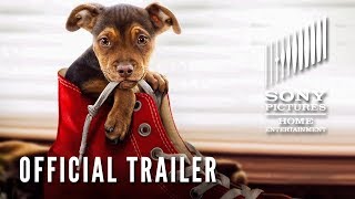 A Dogs Way Home Featurette  Shelbys Way Home 2019  Movieclips Coming Soon [upl. by Howarth]