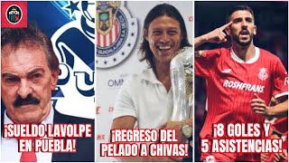 Cerca el REGRESO de ALMEYDA con CHIVAS  Esto Ganará LA VOLPE en Puebla  Paulinho el Mejor Liga MX [upl. by Arretal]