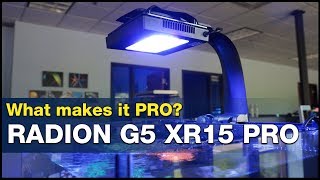 This is what it means to go PRO How to Master your tank lighting using Radion G5 XR15 Pros [upl. by Anhavas]