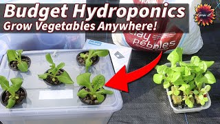 Make A Mini Hydroponics System On A Budget  Grow Perfect Plants EVERY Time [upl. by Ellednahs]