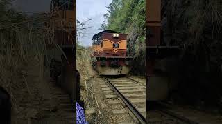 Deadly experience UNCUT ❤‍🔥 Sri Lankan Railway  Nine Arch Bridge  Ella travel srilanka [upl. by Elish]