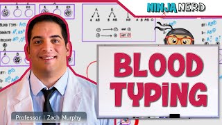 Blood Types Explained  Blood Groups ABO and Rh Factor Nursing Transfusions Compatibility [upl. by Laniger880]