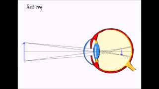 natuurkunde 3e klas Licht 55 het Oog [upl. by Chouest]