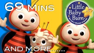 Ladybug Ladybug  Plus Lots More Nursery Rhymes  69 Minutes Compilation from LittleBabyBum [upl. by Aloke850]