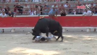 Amine Chekade accroché par le taureau Caruso de Saumade  Beaucaire Finale Palme dor 2018 [upl. by Yahc]