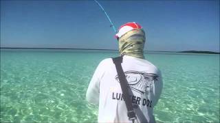 Fishing in Cuba For Cowfish On The Salt Flats Cayo Romano Jan 2016 [upl. by Groos]