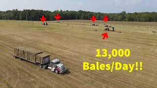 Family Farm with MASSIVE Hay Production 13000 balesday [upl. by Guendolen]