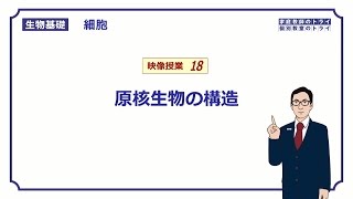 【生物基礎】 細胞18 原核生物の構造 （１０分） [upl. by Eisele]