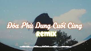 Đóa Phù Dung Cuối Cùng  Nhạc Remix hay nhất [upl. by Axe]