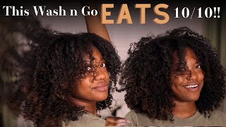 10 Out Of 10 My Updated Wash N Go Routine [upl. by Esilehc787]