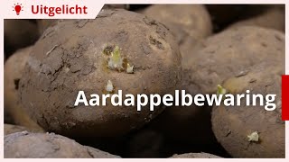 Uitgelicht  Bewaring van aardappel hoe doe je dit optimaal [upl. by Kenney]