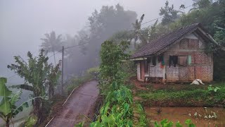 Dingin ‼️ Pagi berkabut di kampung tertinggi di Ciamis suasana pedesaan dngan nuansa alam pegunungan [upl. by Alracal]