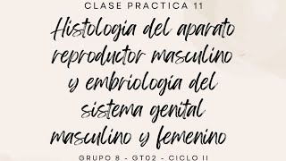 CLASE PRÁCTICA 11 [upl. by Tiga178]