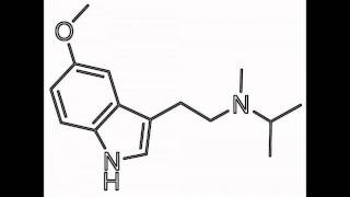 Moxie 5MeOMiPT Tryptamine MDMA [upl. by Alra]