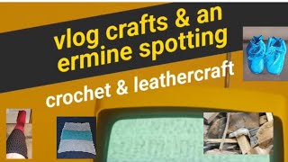 vlog crafts amp an ermine spotting [upl. by Kutzenco]