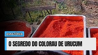 O SEGREDO DO COLORAU DE URUCUM DA AMAZÔNIA✅ [upl. by Ferneau986]