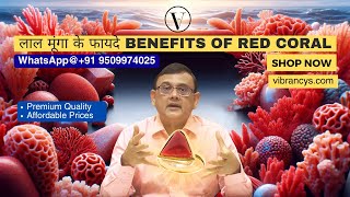 Moonga Stone Benefits in Hindi  Moonga Ratna Ke Fayde  Moonga Price  Red Coral Stone Benefits [upl. by Corey]