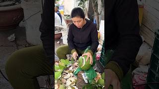 Vietnamese Woman Selling Tropical Fruit Pomelos  Fruit Cutting Skills [upl. by Iy]